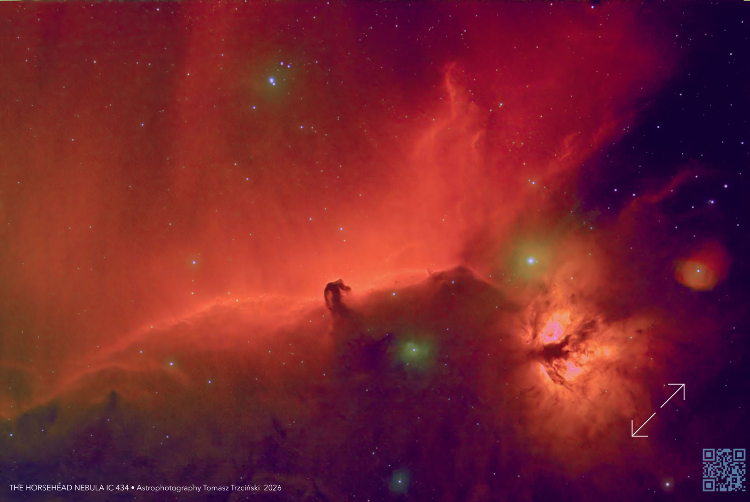 IC 343  - Mgławica Końska głowa / The Horsehead Nebula
