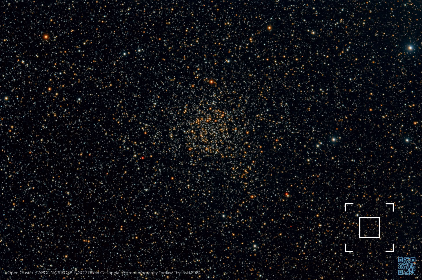 Róża Karoliny - Gromada Otwarta NGC 7789