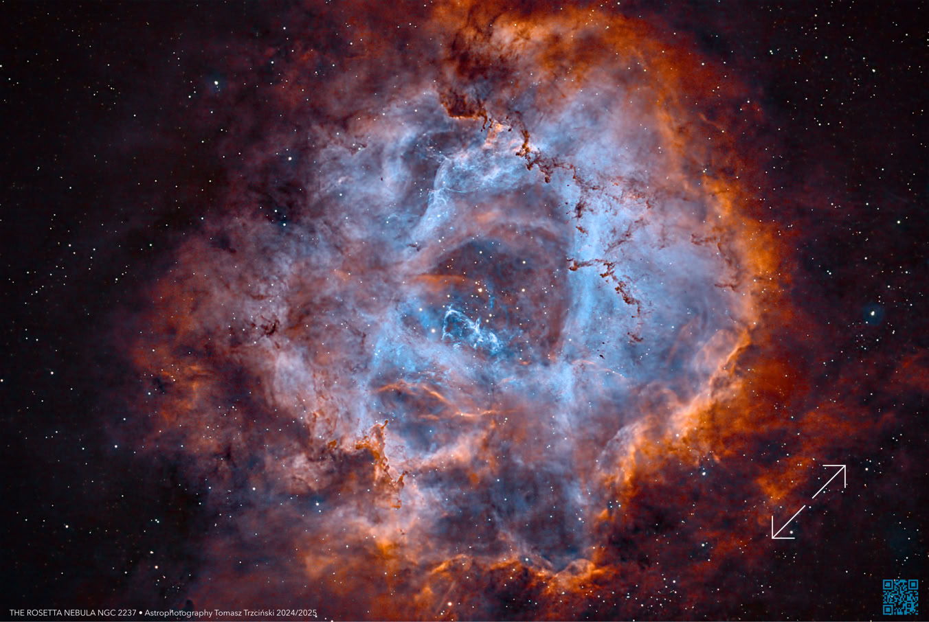 NGC 2244 Mgławica Rozeta - Rosetta Nebula  - Caldwell 50